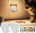 Plug-In Motion Sensor Night Light