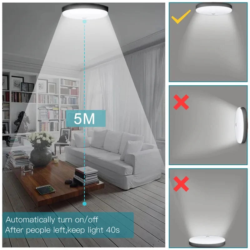 Ceiling Motion Sensor Light