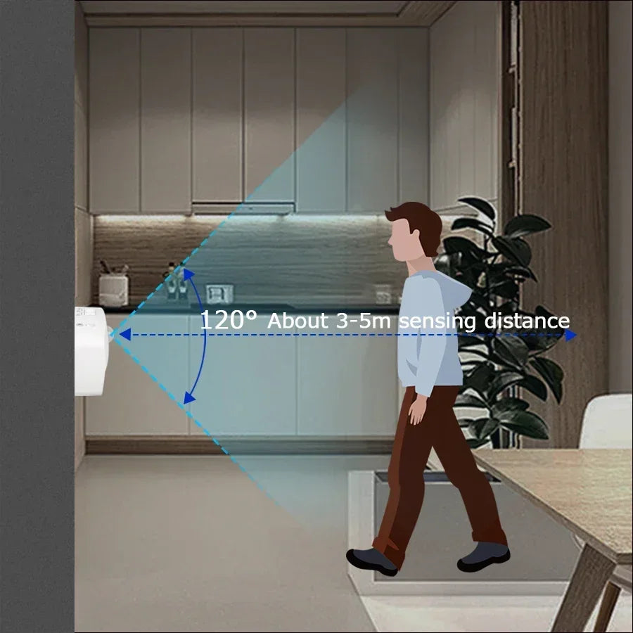 Plug-In Motion Sensor Night Light